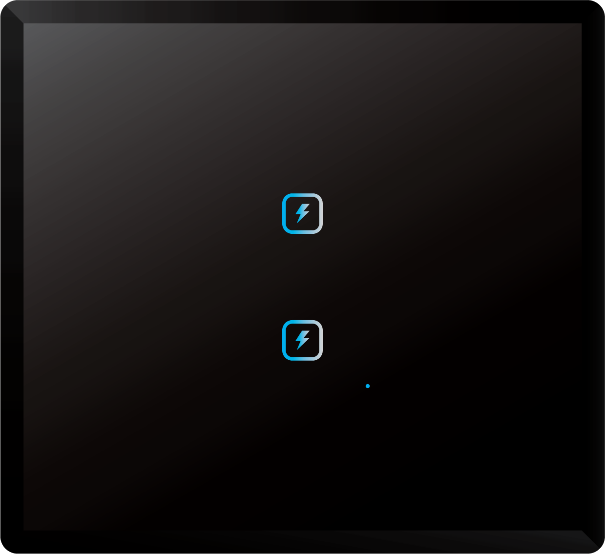 2 Switch (2-16A)